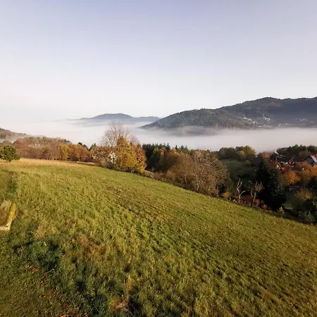 Ferienhaus Haus Am Berg Mit Wellnessbereich, Bar Und Panorama Bühlertal