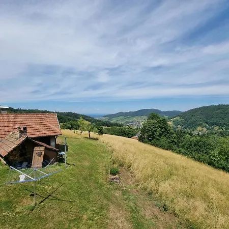 Haus Am Berg Mit Wellnessbereich, Bar Und Panorama Holiday home Buhlertal