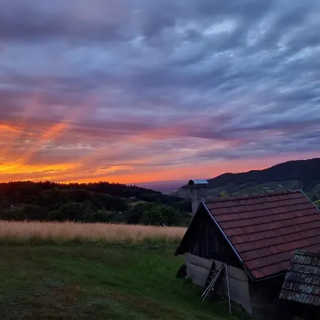 Haus Am Berg Mit Wellnessbereich, Bar Und Panorama Ferienhaus Bühlertal